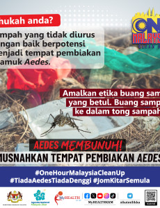 One Hour Malaysia Clean Up: Pembiakan Aedes Berada di Kawasan Sampah